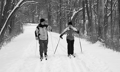 Couple cross country skiing through the woods