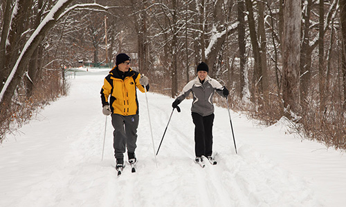 Couple cross country skiing through the woods