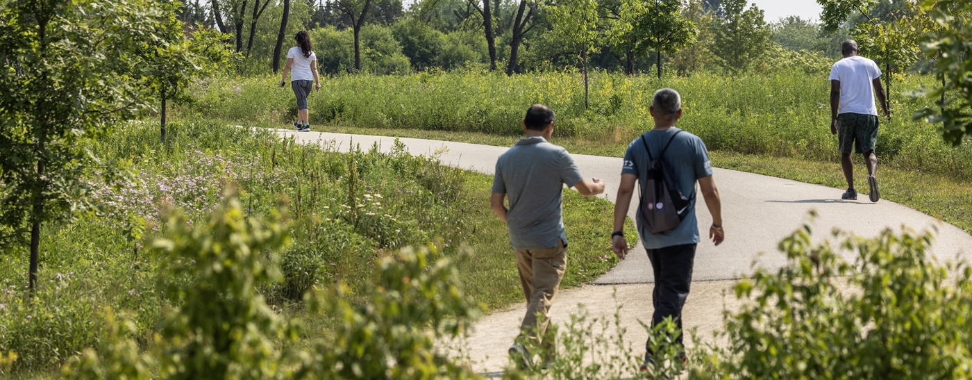 Several groups of people walking on the trails