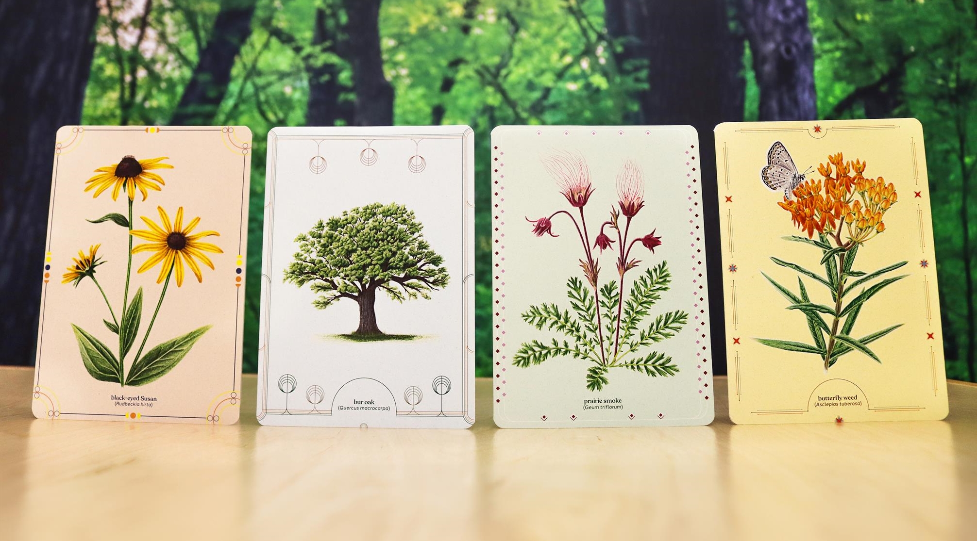 NativePlantNotecards