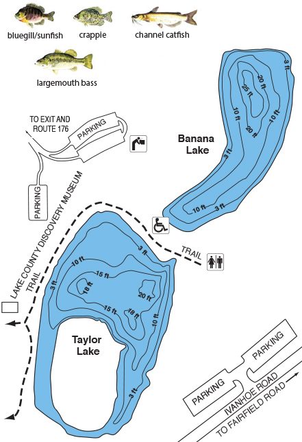 Map of Banana Lake showing the depths and fish in the pond.