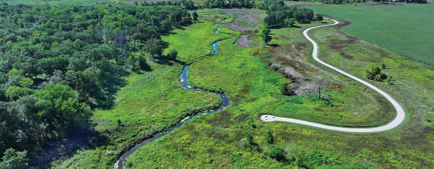 Aerial photograph of Ethel's Woods forest preserve